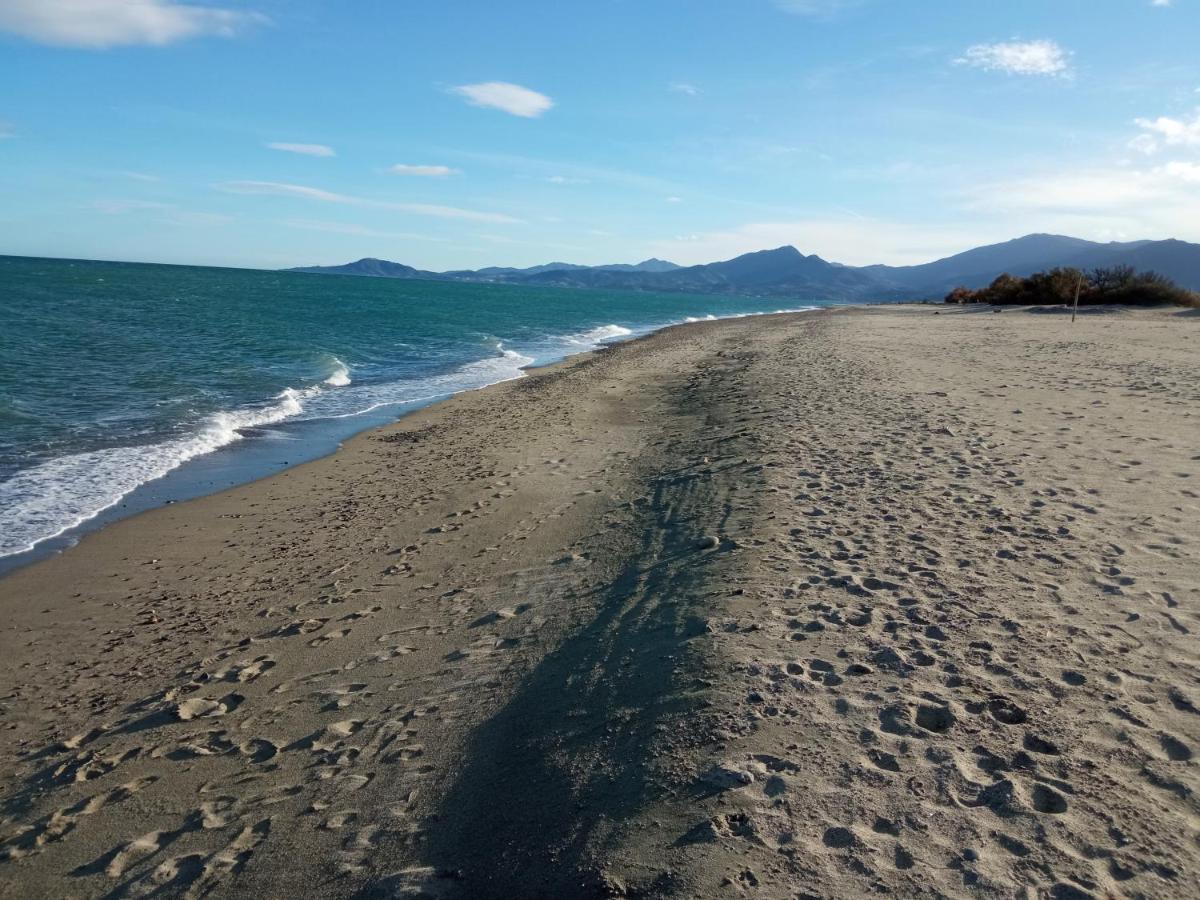 Maison A La Plage Climatisee Et Wifi Fibre Pour Teletravail Saint-Cyprien  Εξωτερικό φωτογραφία